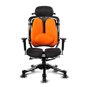 HARA CHAIR NIETZSCHE LB V7 (NT2LB V7) Office Chair Twin Based Pressure Relief of the Intervertebral Discs and Improved Buttock Circulation Arm Rest Adjustment (Black Mesh)