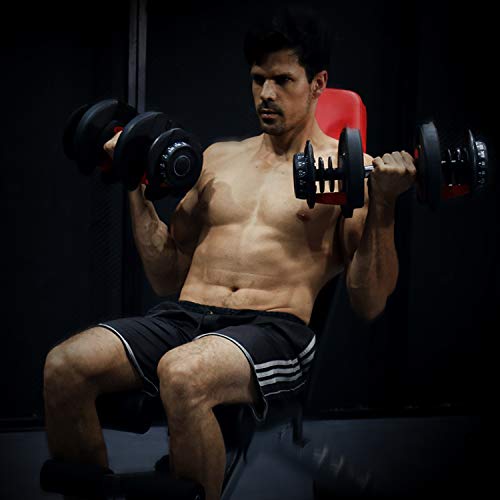 D.Y.A Adjustable Dumbbells Weights Dumbbells Set Strength Training 24KG/52.5lbs Fitness Equipment Dial System Dumbbell with Handle and Weight Plate for Men Women Bodybuilding Workout Home Gym 1PCS