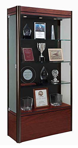 Waddell Contempo Series Lighted Floor Display Case - Cherry Base, Dark Bronze Frame, Black Backing