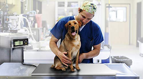 Professional Grade Animal Scale