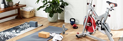 Sunny Health & Fitness Indoor Spin Bike Exercise Stationary Cycle Bike - SF-B1110S,Silver