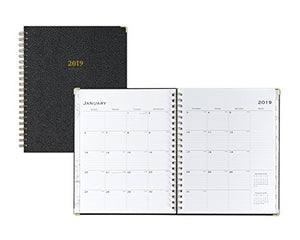 Blue Sky 2019 Weekly & Monthly Planner, Hardcover, Twin-Wire Binding, 8.5" x 11", Carerra