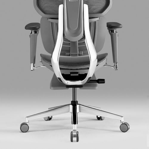 HINOMI X1 High Back Ergonomic Office Chair with Leg Rest, 6D Armrest, 4 Panel Backrest - Black