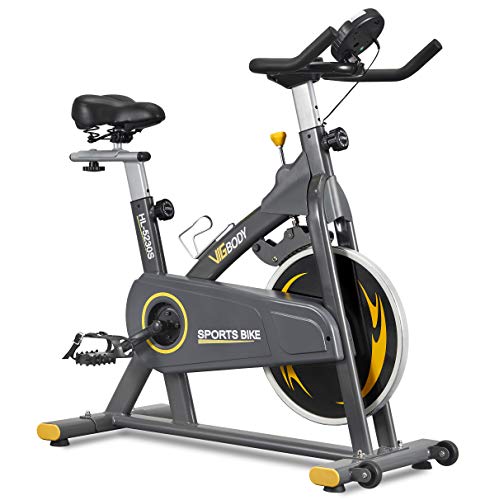 VIGBODY Exercise Bikes Stationary Bike With Adjustable Magnetic Resistance Belt Drive Bicycle With Comfortable Seat Cushion (Gray)