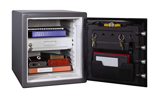 SentrySafe Fire and Water Safe, Extra Large Touchscreen Safe with Dual Key Lock and Alarm, 1.23 Cubic Feet, SFW123UDC