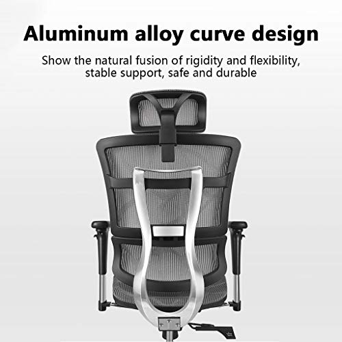 LYLY Ergonomic Reclining Office Chair with Double Back Waist Support (Nylon feet)