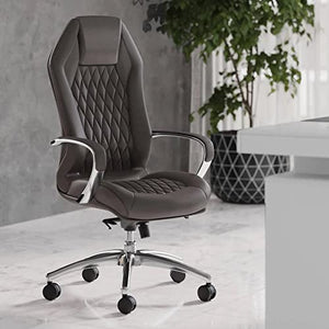 Zuri Furniture Modern Ergonomic Sterling Genuine Leather Executive Chair - Dark Grey