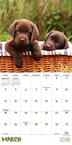 2018 Puppies Mini Calendar
