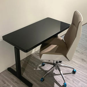 SanzIa Height Adjustable Standing Desk, Ergonomic Computer Workstation, Single Motor Sit Stand Desk (Without Chair)