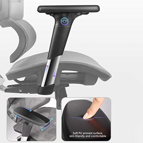 LYLY Ergonomic Reclining Office Chair with Double Back Waist Support (Nylon feet)