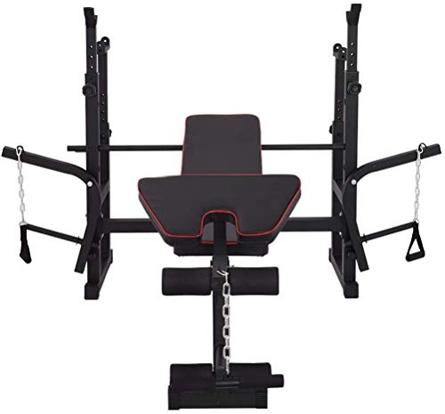 DLWDMRV Fitness aid Dumbbell Bench Adjustable Weight Bench, Squat Rack Indoor Multi-Function Weight, Strength Training Fitness Equipment for Full-Body Workout