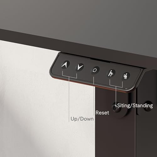 FLEXISPOT Dual Motors Standing Desk 71 x 32 Inch Adjustable Height Electric Sit Stand up Desk