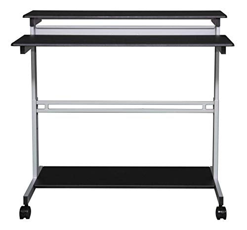 Stand Up Desk Store Rolling Adjustable Height Two Tier Standing Desk Computer Workstation (Silver Frame/Black Top, 48" Wide)