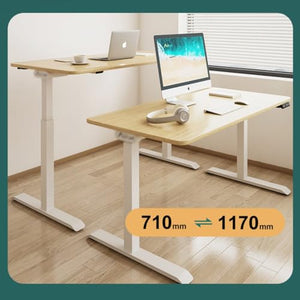 SanzIa Electric Sit Stand Up Desk with Height Adjustment and Memory Presets