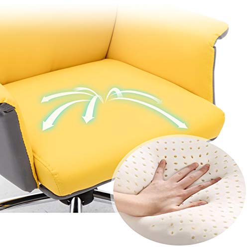 PENGJIE Ergonomic Swivel Office Chair Liftable Ergonomic Computer Chair Home Rotating Office Chair Student Dormitory Study Sofa Chair Desk Chair,68 X 47 X 110 cm Easy to Assemble