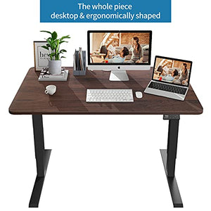 MAIDeSITe Electric Height Adjustable Standing Desk with 4 Memory Controller, 48X24 Inch Sit to Stand Desk for Home Office Rising Desk,Stand up Desk with The Whole Piece Board