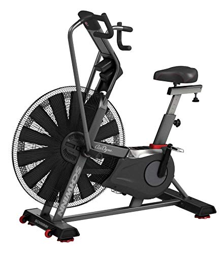 Schwinn AD7 Airdyne Bike