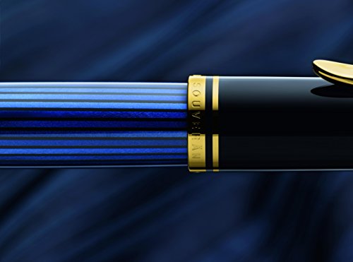 Pelikan Roller Pen R600 Premium Pointe Noir/Bleu
