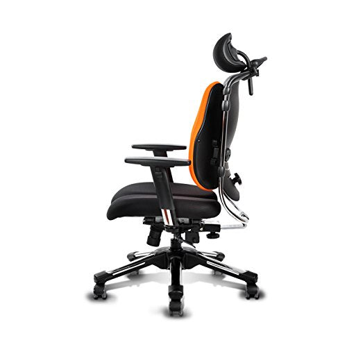HARA CHAIR NIETZSCHE LB V7 (NT2LB V7) Office Chair Twin Based Pressure Relief of the Intervertebral Discs and Improved Buttock Circulation Arm Rest Adjustment (Black Mesh)