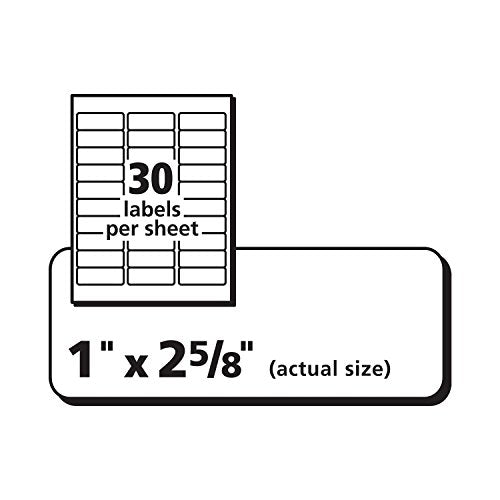 Avery Weatherproof Mailing Labels, TrueBlock Technology, Laser Printers, 1" x 2-5/8", Bulk Pack of 15,000 (95520)