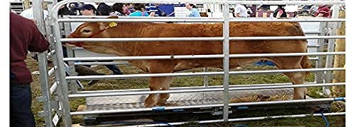 PEC Livestock Cattle Squeeze Chute Scale Kit for Pigs Goats Sheep 10,000LBS/0.1 NTEP Legal for Trade Scale