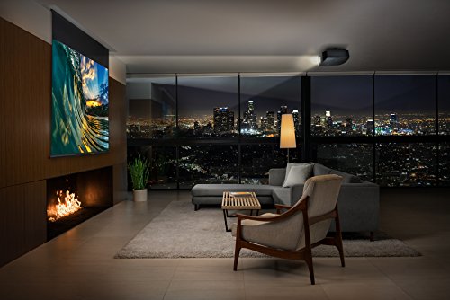 Sony 4K HDR Home Theater Video Projector (VPLVW695ES)