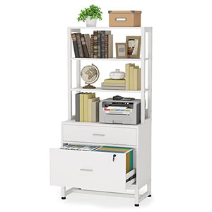 LITTLE TREE Vertical Office File Cabinet with 2 Drawers