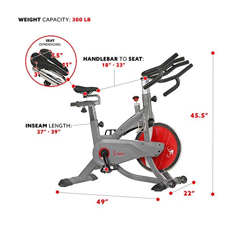 Sunny Health & Fitness AeroPro Indoor Cycling Bike - SF-B1711, Grey