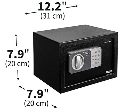 Time Delay Safe (Standard)