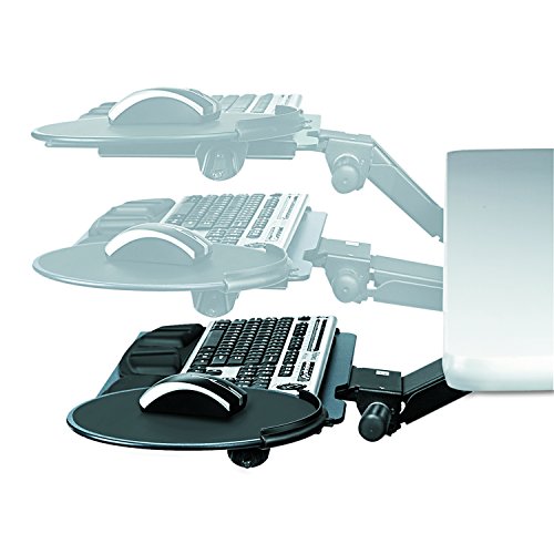 Fellowes Professional Series Sit/Stand Keyboard Tray, Black (8029801)