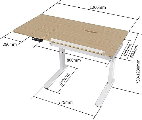OGRAFF Electric Lifting Tiltable Drafting Table