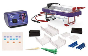 Edvotek 5061 Demonstration DNA Electrophoresis LabStation