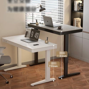 SanzIa Electric Standing Desk, Adjustable Height Computer Workstation with USB and 4 Memory Keyboard