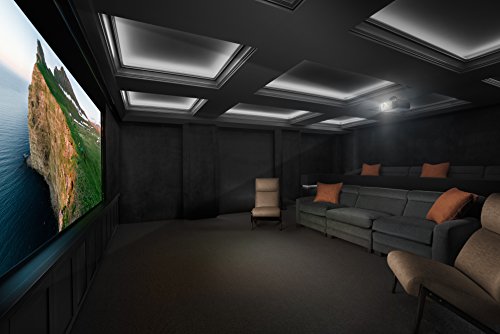 Sony 4K HDR Home Theater Video Projector (VPLVW695ES)