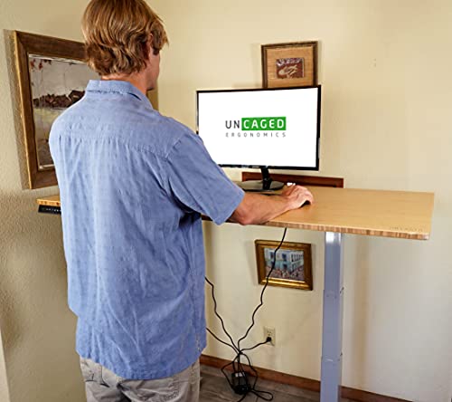 RISE UP dual motor electric standing desk 60x30" bamboo desktop premium ergonomic adjustable height sit stand up home office computer desk table motorized powered modern furniture small standup