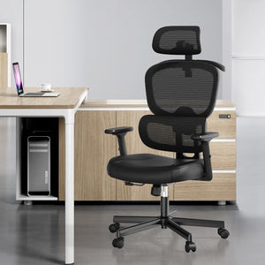 Vansalute Ergonomic High Back Office Chair with Lumbar Support