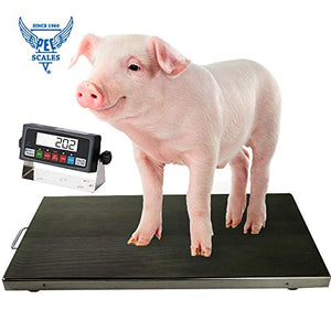 PEC Scales 700lbs Vet Animal Scale/Livestock Scale, Digital Weighing Equipment for Small to Medium Sized Animals Calf/Goat/Sheep/Pigs/Dogs/Cat or Pets (38″ x 20″ x 2″)