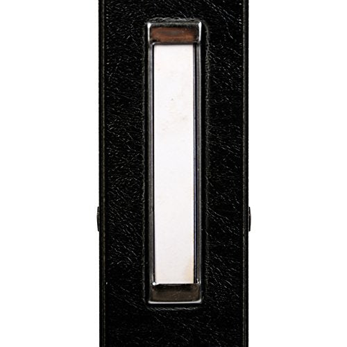 Lion Visible Record Book, Removable 100-Pocket (1085-N)