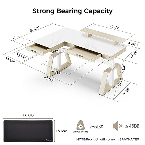 EUREKA ERGONOMIC Electric Standing Desk with Dual Drawers, 63" Height Adjustable L-Shaped Office Desk