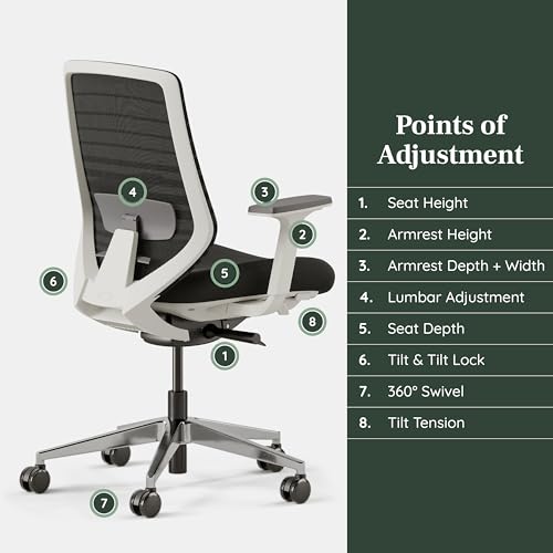 Branch Ergonomic Chair - Adjustable Lumbar Support, Breathable Mesh Backrest - Black