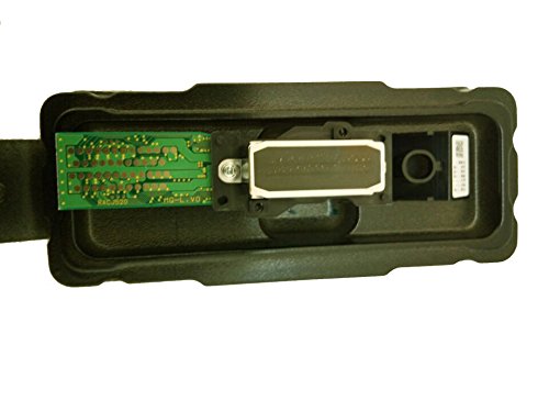 In US Stock, Original DX4 Eco Solvent Printhead With Head Rank-1000002201