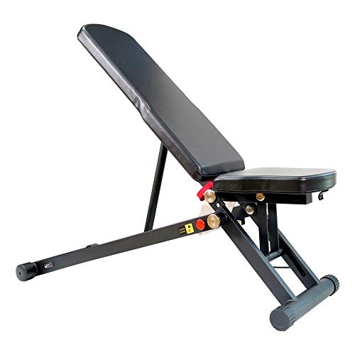 DHT Foldable Weight Bench, Adjustable Strength Training Bench for Full Body, Workout Fast Folding Bench for Home, Gym