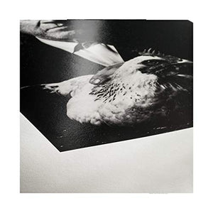Hahnemuhle Photo Rag Baryta 315, 100% Cotton High Gloss, Natural White Inkjet Paper, 315gsm, 24"x39' Roll, 3" Core