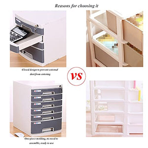 FPIGSHS Desktop Drawer Cabinet, 5 Drawer Flat File Storage Organizer