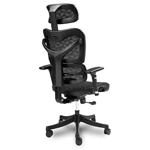Ergonomic Mesh Office Chair High Back with Adjustable Headrest/Tilt Back/Tension/Lumbar Support/Armrest/Seat Breathable High End Argomax Computer Desk Chair 360 Swivel Self Adaptive Base (Upgrade)