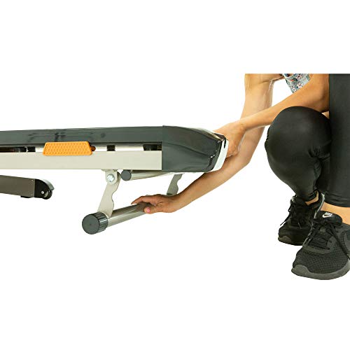 ProGear BT5000 Foldable Electric Treadmill with Goal Setting Computer