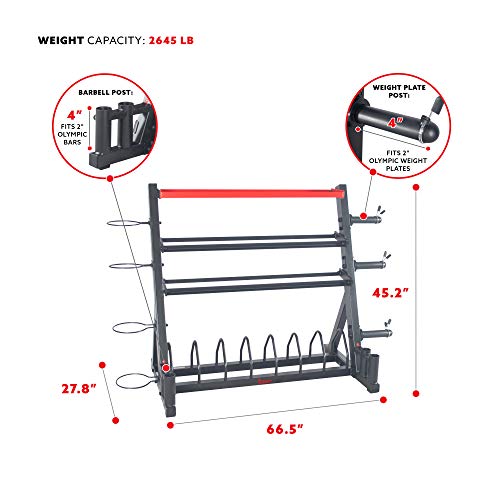 Sunny Health & Fitness All-in-One Weights Storage Rack Stand - SF-XF920025