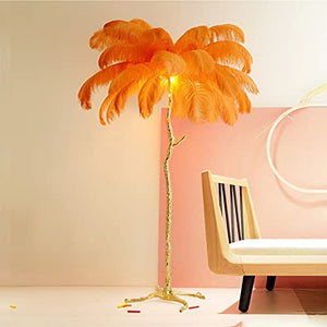 YAsao Ostrich Natural Feather LED Floor Lamp (Orange, 170CM)