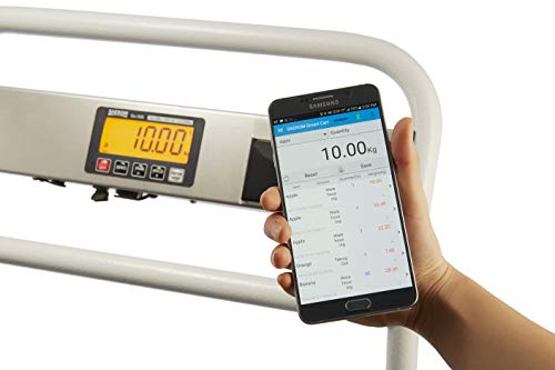 SAEROM® Shipping Scale 660lb x 0.1lb with Printer and USB Port