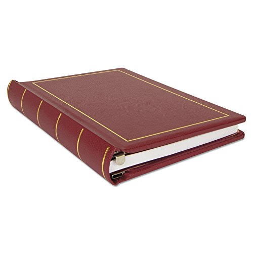 Wilson Jones 039611 Minute Book, 250-Sheet Capacity, 11-Inch x8-1/2-Inch, Red